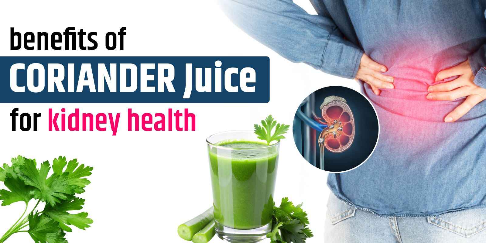 Benefits of coriander Juice for Kidney Disease – Detoxification is the Key!